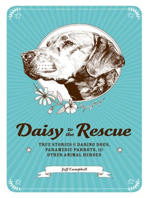 cover image of Daisy to the Rescue